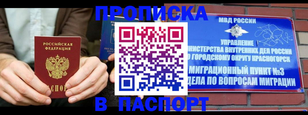 где прописаться в Нелидово
